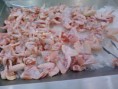 /album/halal-frozen-chicken/legs-jpg/